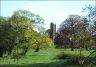 Looking through Freston Park